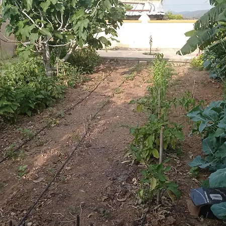 Kaplica Koeyuende Tam Muestakil Davlos