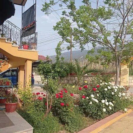 Kaplica Koeyuende Tam Muestakil * Davlos