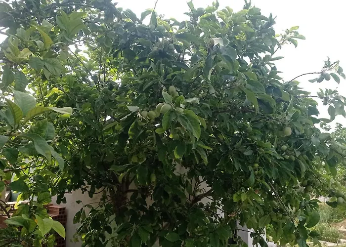 Kaplica Koeyuende Tam Muestakil Appartamento Davlos