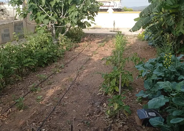 Kaplica Koeyuende Tam Muestakil Davlos